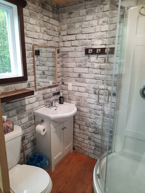 Shower, soap, shampoo, toilet paper