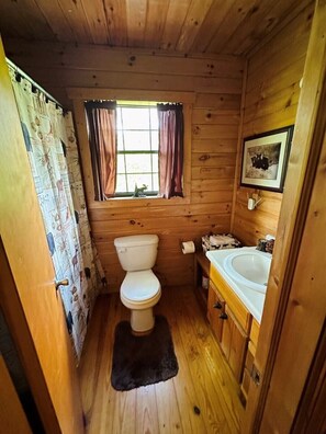 Shower, towels - Helton Creek Hideaway near Helton Creek Falls (Blairsville)