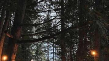 Enceinte de lâhĂ©bergement