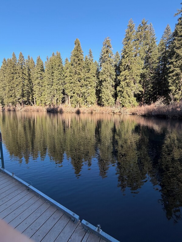 A calm lake with a wooden dock and dense forest in the background. - McKenzie Bridge River's Edge Retreat, a cozy cabin on over two acres (McKenzie Bridge)