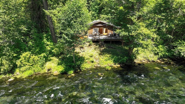A cabin surrounded by dense forest, with a clear stream in front. - McKenzie Bridge River's Edge Retreat, a cozy cabin on over two acres (McKenzie Bridge)
