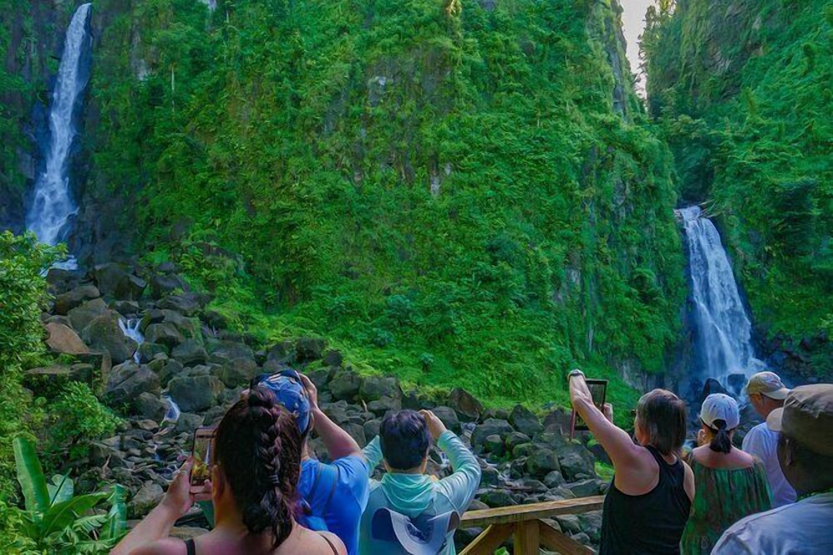 A group of people taking photos of a waterfall surrounded by lush greenery.