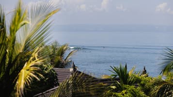 A coastal view with palm trees and a clear sky.