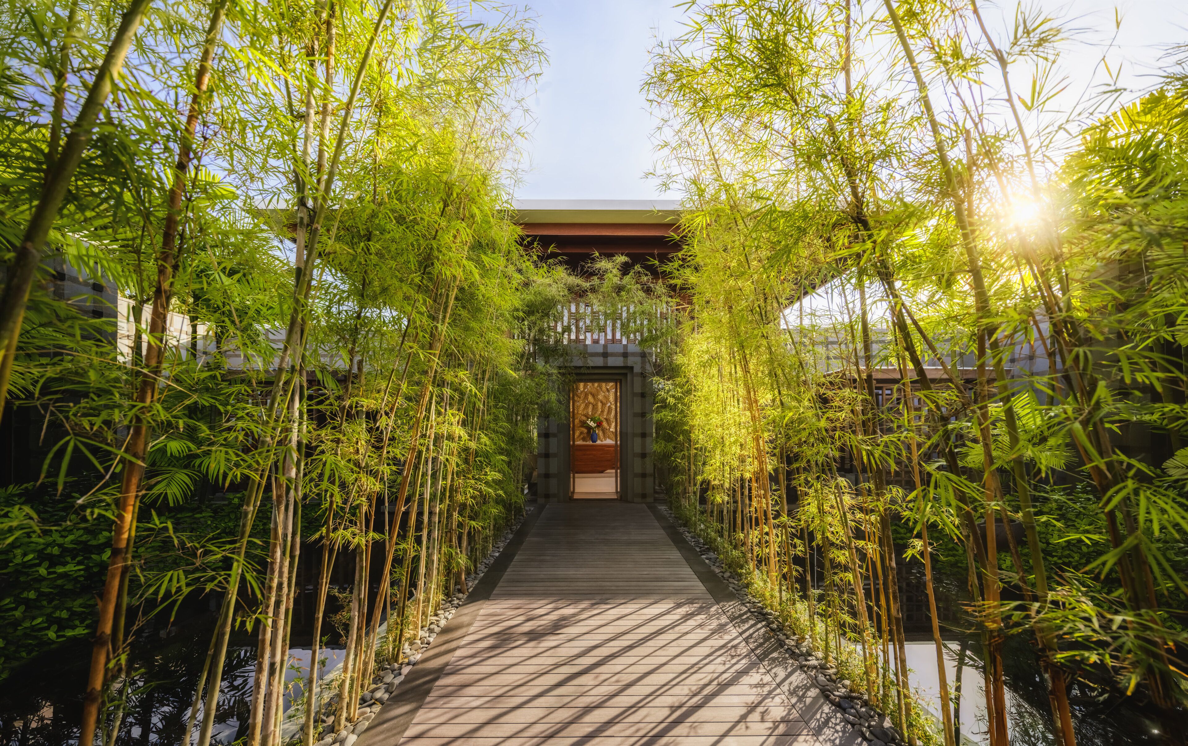 A pathway flanked by tall bamboo plants leading to a traditional building with a wooden door.