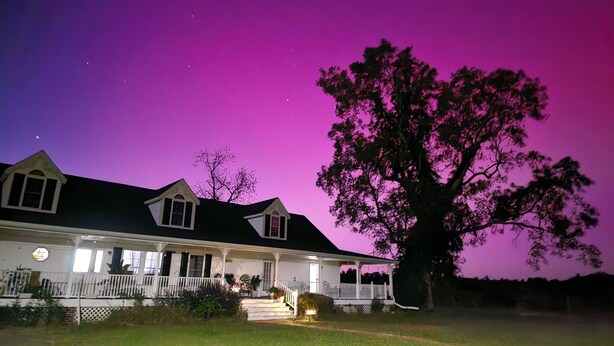 A house with a porch, a large tree, and a purple sky. - Phoenix Farms Vineyard (Edward)