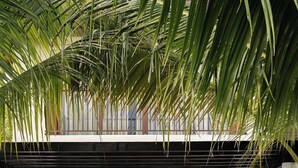 Een moderne slaapkamer met een groot bed, een balkon en weelderige tropische planten.