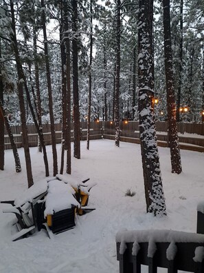Property grounds - Small Dog Friendly Cabin in The White Mountains!! 🐶🏔️ (Pinetop-Lakeside)