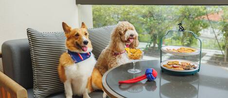 Two dogs sitting on a sofa with a table in front of them, containing a bowl of food and a toy.