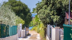 A narrow pathway flanked by greenery and fences, leading to a body of water. - Eco Beach House Corrine - 100 m from the Beach (Peroj)