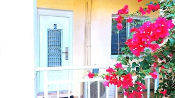 Detalle del exterior