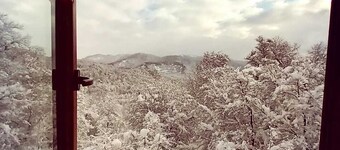 El Arca Andina - Lonquimay