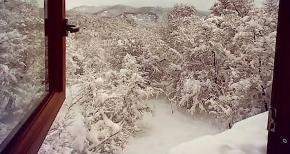 El Arca Andina - Lonquimay