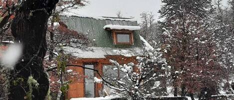 Una cabaña rústica con techo verde y una ventana pequeña, rodeada de árboles cubiertos de nieve y una valla de madera.