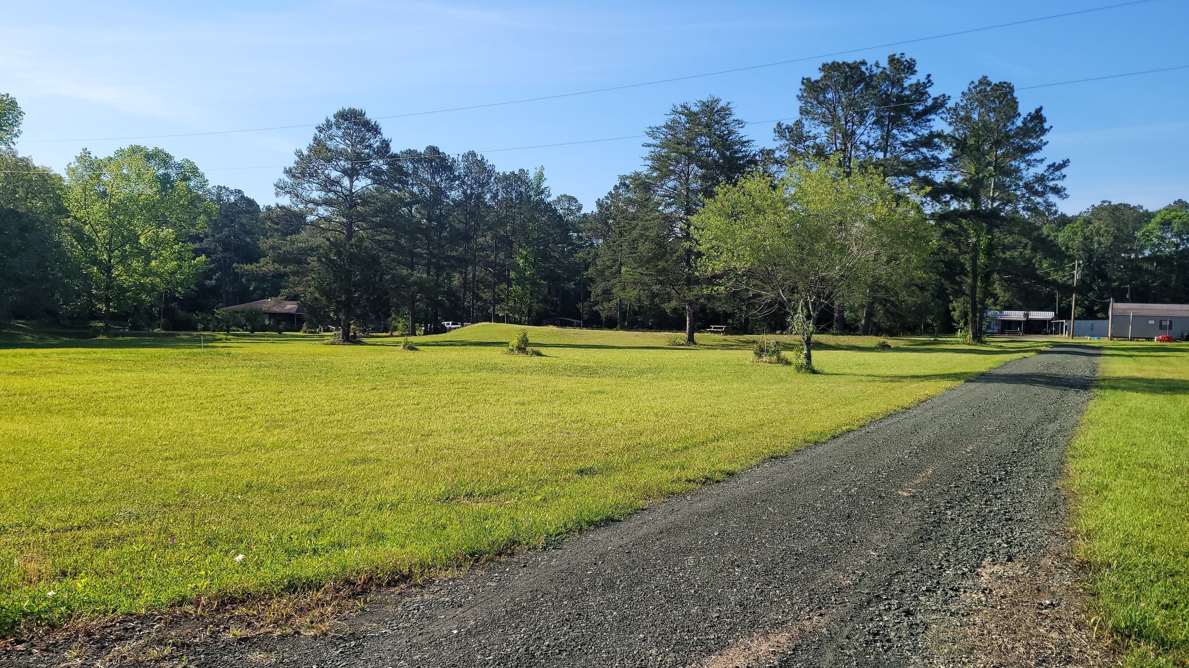 A rural landscape with a gravel path, green grass, and trees.