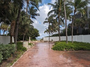 Property grounds - Fun-tastic Oasis! Shared Heated Pool n Spa! Beach 1.4 mi! Walkable Food n Fun! (Fort Lauderdale)