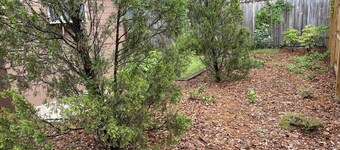 Modern Comfort: Mills/50 Hideaway