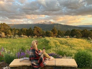 Property grounds - HUGE VIEWS + LUX Finishes Outside Aspen (Basalt)