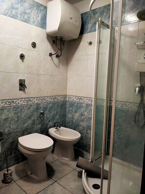 Shower, hair dryer, bidet, towels