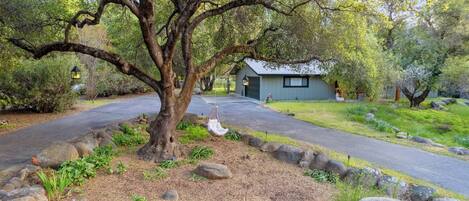 المنطقة المحيطة بالمنشأة