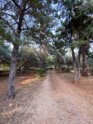 Terrain de l’hébergement 