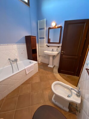 Shower, hair dryer, bidet, towels