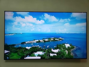 Televisión