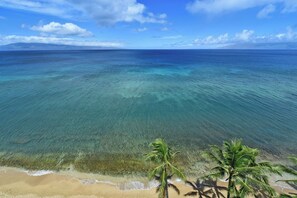 Beach - Deluxe 1 Bedroom Oceanfront Condo - Mahana 1217 (Lahaina)