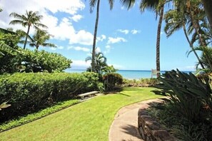 Property grounds - 1 Bedroom Oceanfront Penthouse - Valley Isle 1209 (Lahaina)