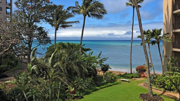 A view of a beach with palm trees, a clear sky, and a building in the background. - Ocean View Condo in Kahana - Valley Isle 302 (Lahaina)