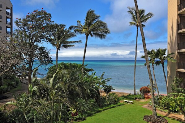 Beach - Ocean View Condo in Kahana - Valley Isle 302 (Lahaina)