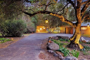 Un camino que lleva a un edificio, con un gran árbol arqueándose sobre él, rodeado de rocas y follaje.