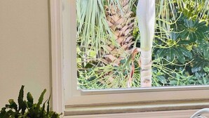 Een ronde tafel met een plant in pot en een stapel borden op een mat.