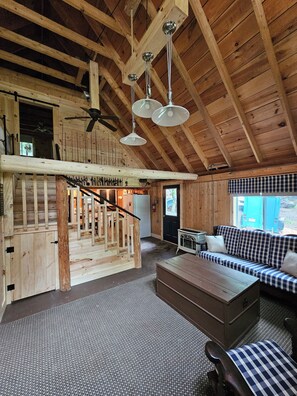 Smart TV, fireplace, DVD player, books