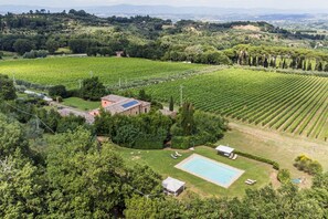 A vineyard with rows of grapevines, a swimming pool, and a small building with a red roof.