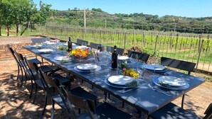 An outdoor dining table set with plates, glasses, and a bottle, surrounded by chairs, with a vineyard in the background. - Villa Boschetto By MMega (Montepulciano)