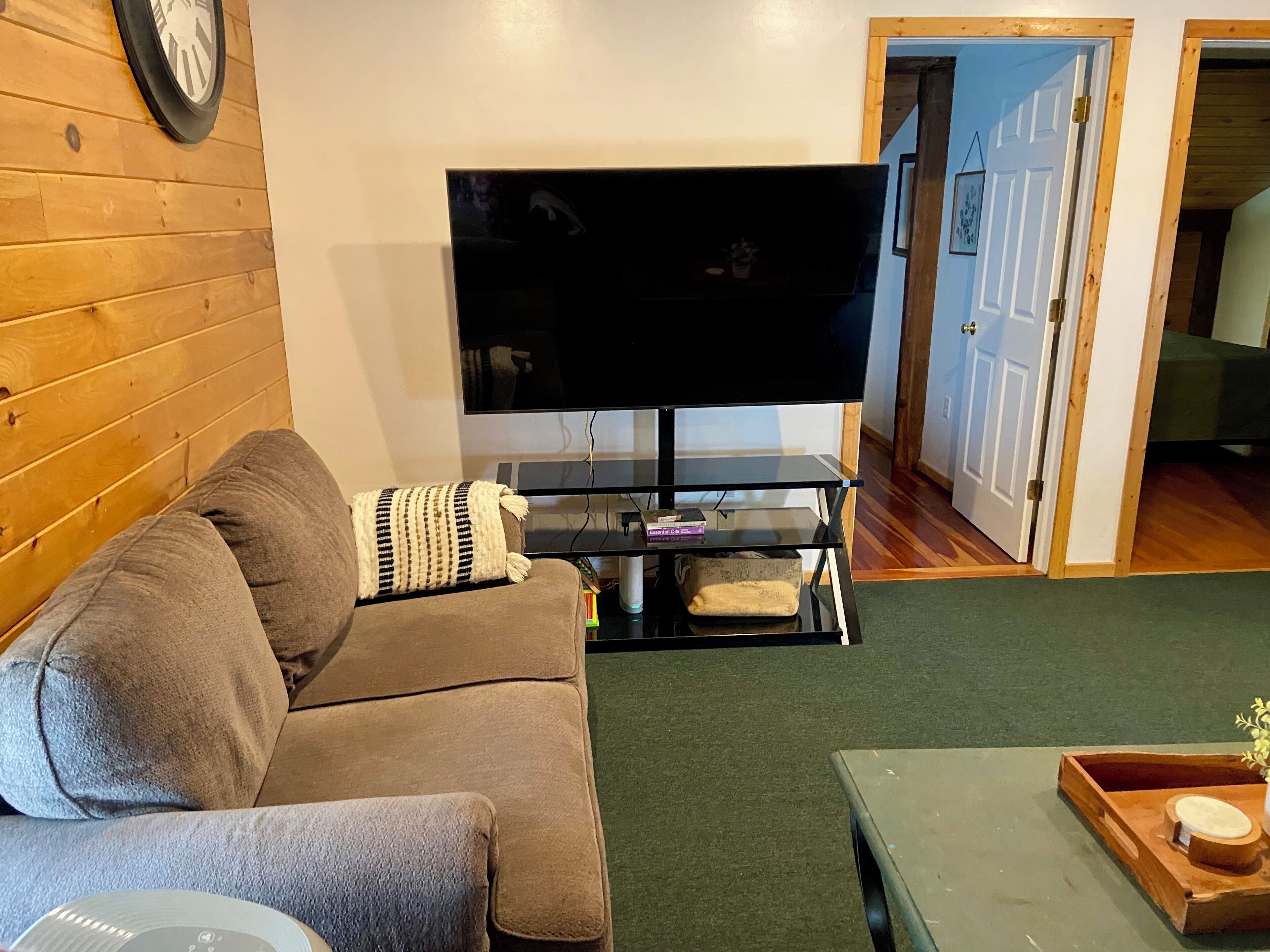 Una sala de estar con un sofá, un televisor de pantalla plana sobre un mueble, una pared de madera y una puerta que da a otra habitación.
