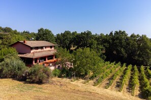 Exterior - Exclusive Duplex Apartment with pool and view (Strognano)