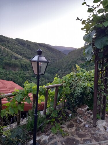 Cozy Cottage Mountain Pet-Friendly