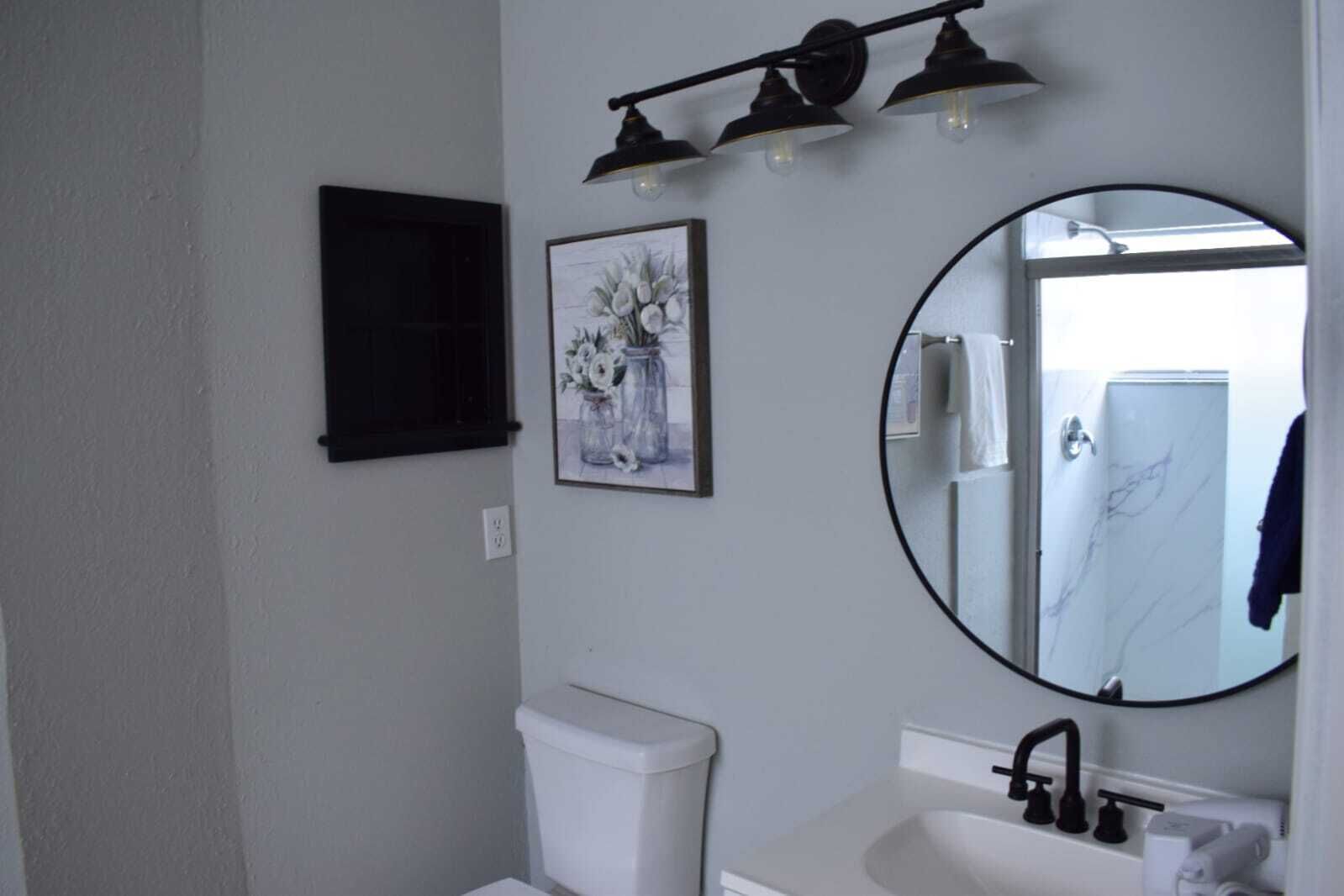 A bathroom with a toilet, sink, and a mirror. There is a framed picture on the wall and a light fixture above the mirror.