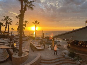 Relax in a serene resort setting with lounge chairs, a bar, and a stone pathway leading to a seating area amidst palm trees.