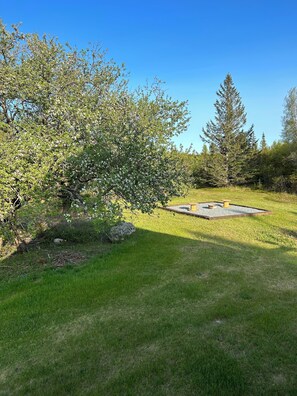 Property grounds - Quietside Meadow-2 bedroom home on 15 acres, located on the quietside of MDI. (Tremont)