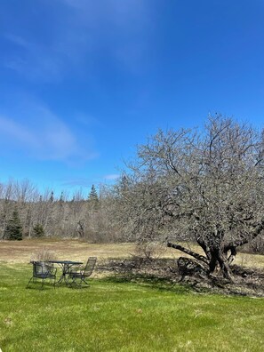 Property grounds - Quietside Meadow-2 bedroom home on 15 acres, located on the quietside of MDI. (Tremont)