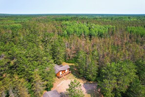 Une cabane isolée, entourée d’une forêt dense.