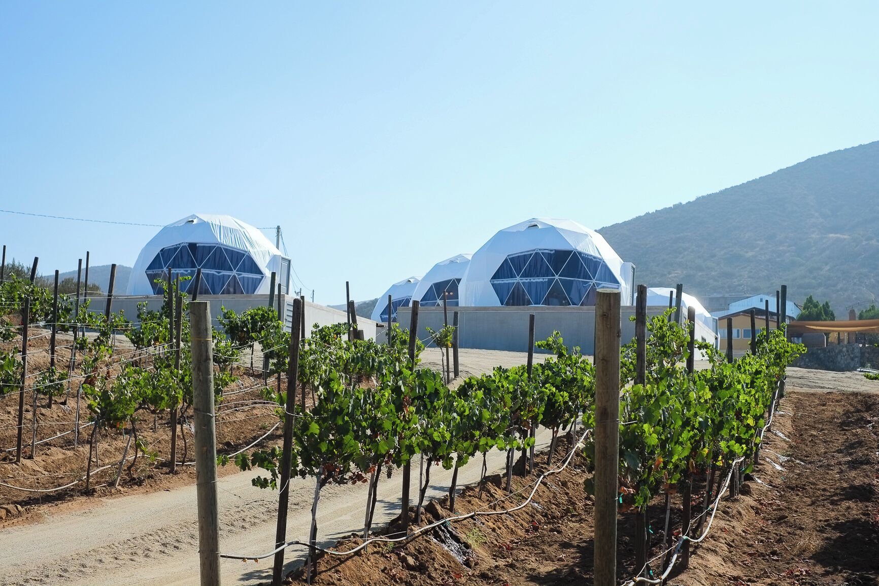 Luxury Tent, Vineyard View | Exterior