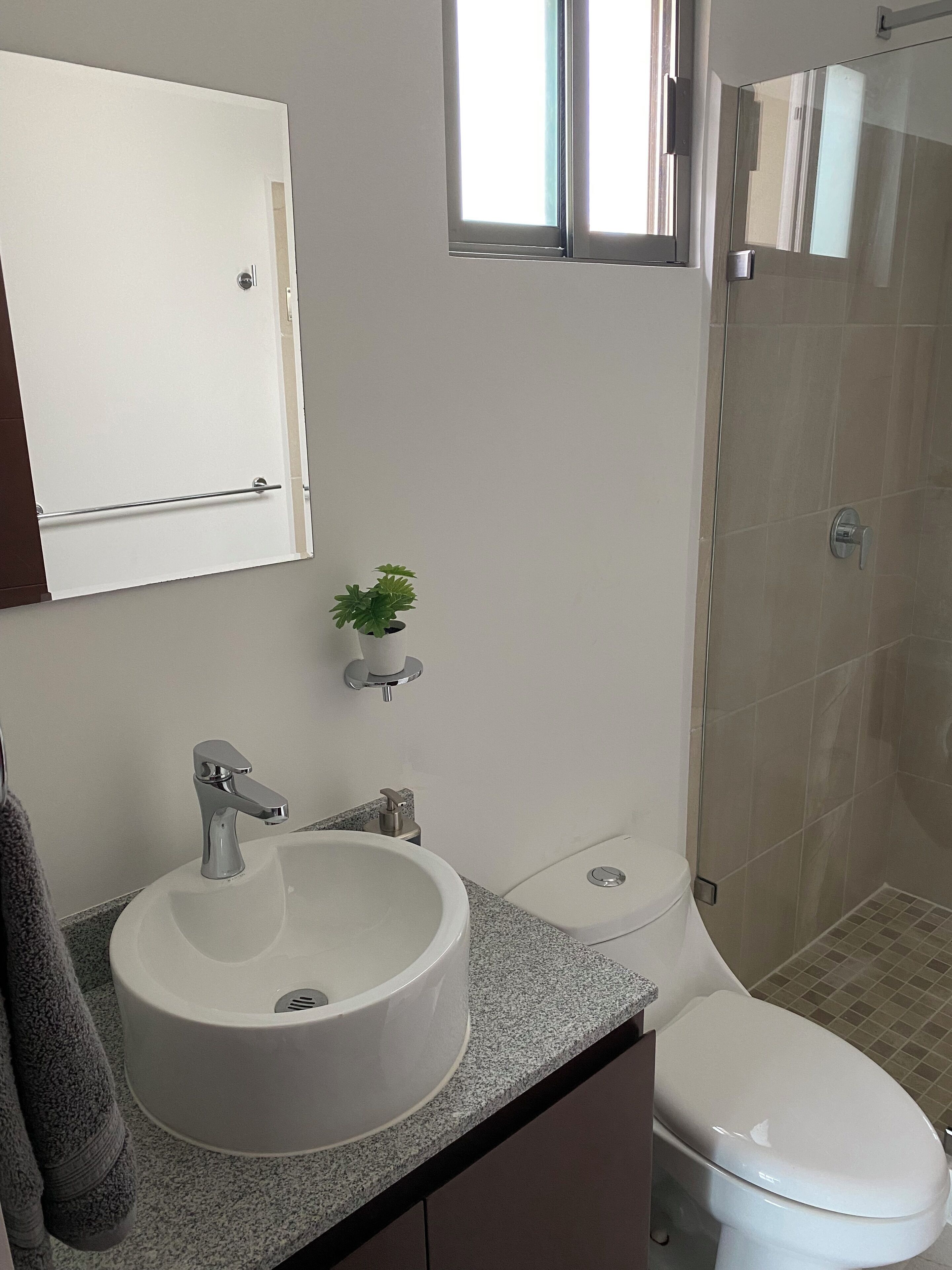 A bathroom with a sink, toilet, and a small potted plant.