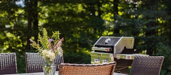 The Mercer House: 4 br w/ a/c, walkable Village location! Cady Hill Bike trails!