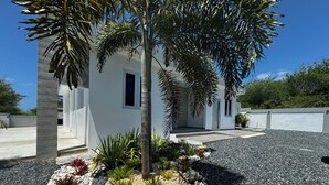 Una casa moderna con jardín ajardinado que incluye una palmera, diversos arbustos y un sendero de grava.