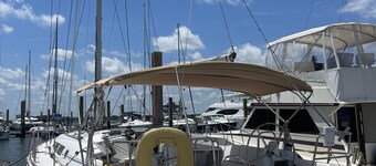 CHARLESTON, SC 
Sailing charters on Vela Via 45' yacht, on Charleston's battery