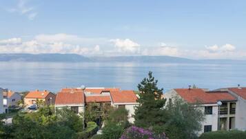 Apartment, Smoking | 1 bedroom