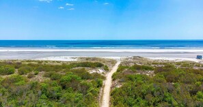 A coastal landscape with a dirt path leading to the beach, surrounded by dense greenery. - Beach Block! Beautifully furnished 1 bed/1 bath steps to the sand (Brigantine)
